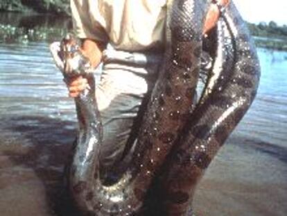 El biólogo Jesús Rivas, en una imagen del documental Tierra de Anaconda.