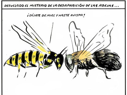 El Roto
