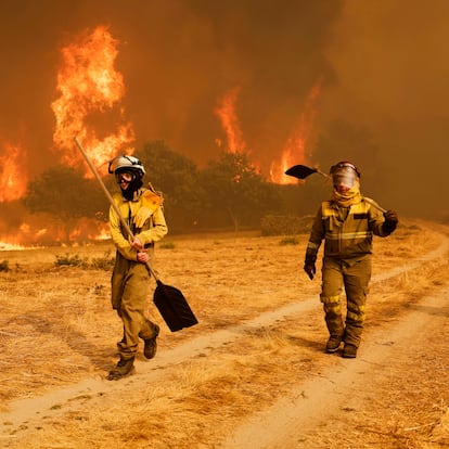 Firefighters stand in front of the flames during a wildfire in Santa Baia De Montes, northwestern Spain, Thursday, Aug. 14, 2025. (AP Photo/Lalo R. Villar)