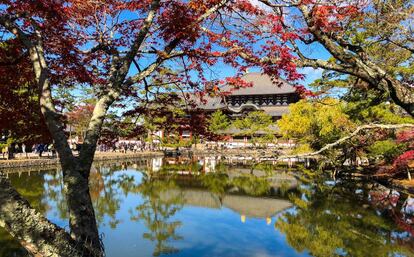 El Todaiji es el templo principal del parque de Nara, uno de los lugares más turísticos de Japón.