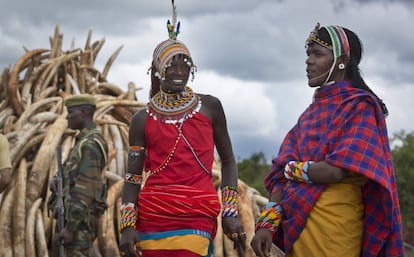Masais en traje de ceremonia junto a un ranger del servicio de fauna de Kenia, al lado de un montón de colmillos.