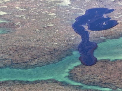 Mancha de óleo em Maragogi, em Alagoas.