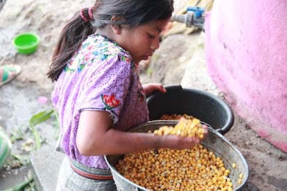 Marcela, guatemalteca de 13 años, cocina maíz para sus hermanos cada mañana antes de ir a la escuela. Sueña con ser profesora.