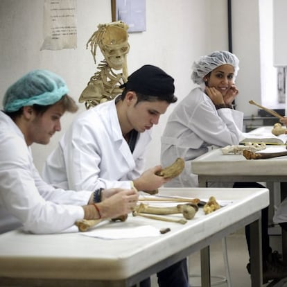 Alumnos de anatomía de la Facultad de Medicina de la Universidad Complutense de Madrid durante una clase.