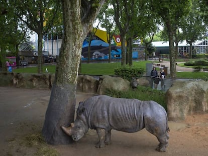 Um rinoceronte no zoológico de Barcelona.