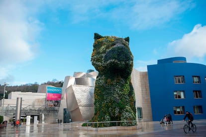 Planes en Bilbao con perro