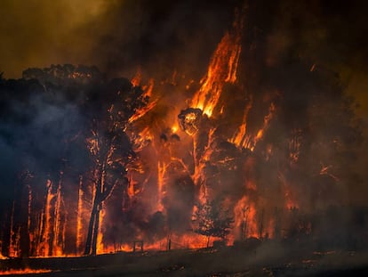 Cielos teñidos de rojo, columnas ardientes y paisajes devastados. Retrato de Australia en llamas