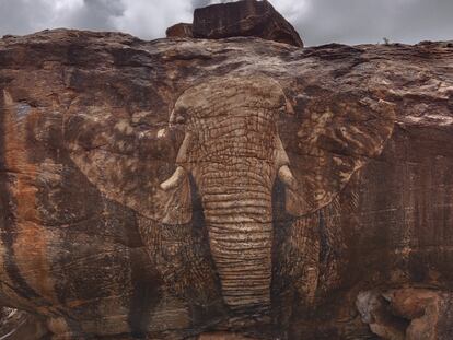 El mural 'Elephant’s Rock', del artista francés Youri Cansell, en las inmediaciones del santuario de animales.