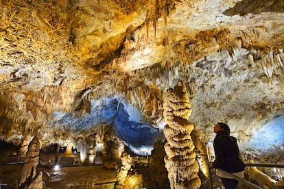 La cueva de Pozalagua, en la comarca vizcaína de las Encartaciones, esconde una bóveda de 125 metros de longitud, 70 de anchura y 12 de altura con una de las mayores concentraciones de estalactitas excéntricas, formaciones de calcita y dolomita que cuelgan del techo de la gruta enredándose de forma caprichosa, como raíces de mármol. La gruta se descubrió casualmente en 1957, y se puede visitar en una ruta guiada de 45 minutos que finaliza en el mirador con vistas al valle de Carranza. Más información en <a href="https://www.cuevadepozalagua.eus/" target="_blank">cuevadepozalagua.eus</a>