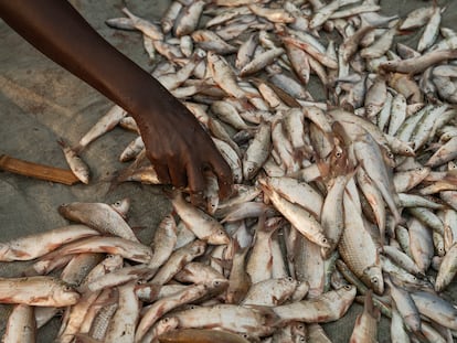 Nomadic fishermen often live in vulnerable communities with limited access to resources and infrastructure.