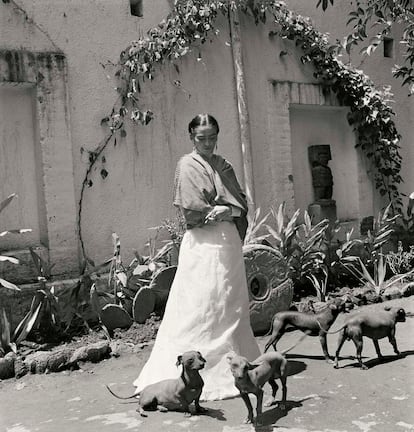 Freund dejó México en 1952, dos años antes de que Frida muriese. En la exposición Las apariencias engañan: los vestidos de Frida Kahlo se hicieron públicos centenares de vestidos, joyas y material ortopédico de la artista, que había permanecido olvidado en baúles en la casa azul hasta que se recuperaron en 2004. Diego Rivera exigió 15 años de veto para preservar su intimidad.