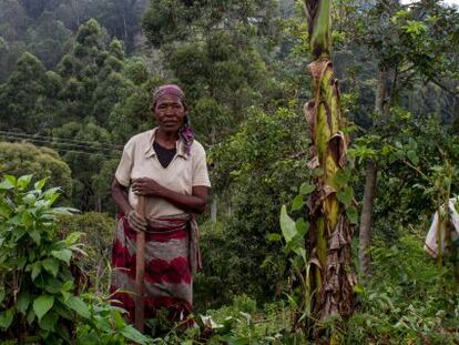 Una mujer labra la tierra en Ntenga, Tanzania.