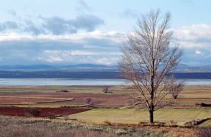 Laguna de Gallocanta (Teruel-Zaragoza).