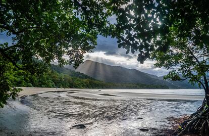 Playa Myall en Cabo Tribulación, situada en el Parque Nacional Daintree, Queensland, Australia.