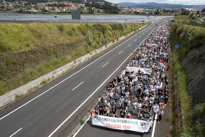 Marcha contra la fábrica de celulosa en Pontevedra para frenar el proyecto de Altri en Palas (Lugo), este domingo.
