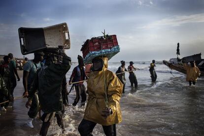 Escena de la descarga manual del género en el puerto artesanal de Nuakchot. El pescado del programa procede de capturas comerciales a gran escala. Mauritania tiene uno de los caladeros más importantes del mundo, pero también se faena aún a mano.