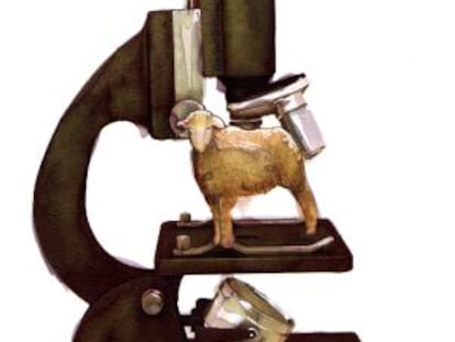 Leyes que se nos escapan