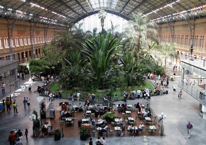 Jard&iacute;n tropical de la Estaci&oacute;n de Atocha.
 
 