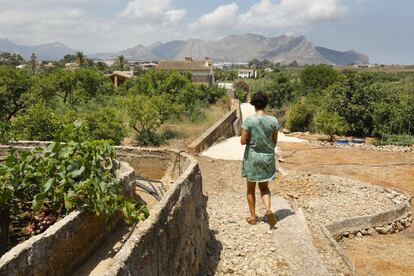 Terrenos de L'Hort de l'Álé, en Pedreguer, con la sierra Segària al fondo.