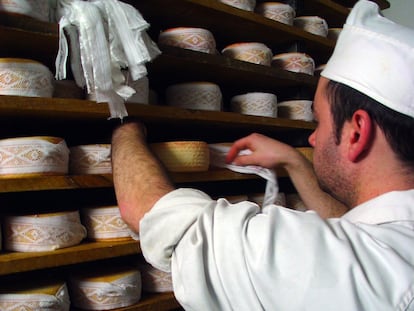 Procedimiento de volteo de varias tortas del Casar.