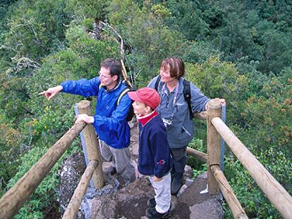 Un rincón de la reserva Los Tiles, al noreste de La Palma, donde se encuentran los nacientes de Marcos y Cordero.