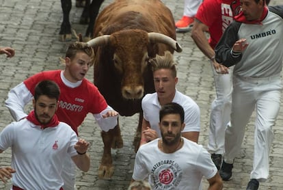 Toros de la ganadería de Núñez del Cuvillo durante el séptimo encierro de los Sanfermines 2016.