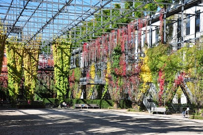 Vista del parque MFO de Zúrich, proyectado en el emplazamiento de una antigua fábrica, y cuyos muros vegetales replican los volúmenes del edificio derruido.
