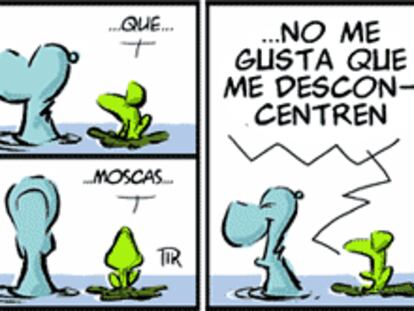 RAMON