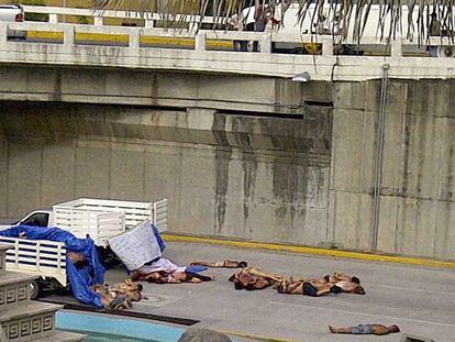 Los cuerpos de las 35 personas asesinadas en Veracruz yacen en el suelo y en dos camionetas.