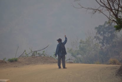 La Coordinación de Protección Civil y Bomberos informó que para controlar estos incendios ya se cuenta con el apoyo de personal militar y de la Comisión Nacional de Áreas Naturales Protegidas (CONANP).