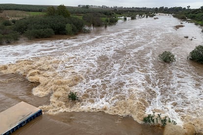 El río Guadiamar, a su paso por Gerena (Sevilla), cuyo cauce ha crecido considerablemente esta semana por las intensas lluvias caídas sobre la provincia.