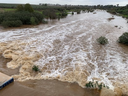 El río Guadiamar, a su paso por Gerena (Sevilla), cuyo cauce ha crecido considerablemente esta semana por las intensas lluvias caídas sobre la provincia.
