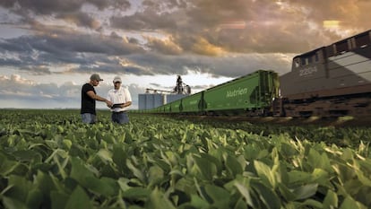 La sede de Nutrien está en la ciudad canadiense de Saskatoon y tiene una producción de 25 millones de toneladas.