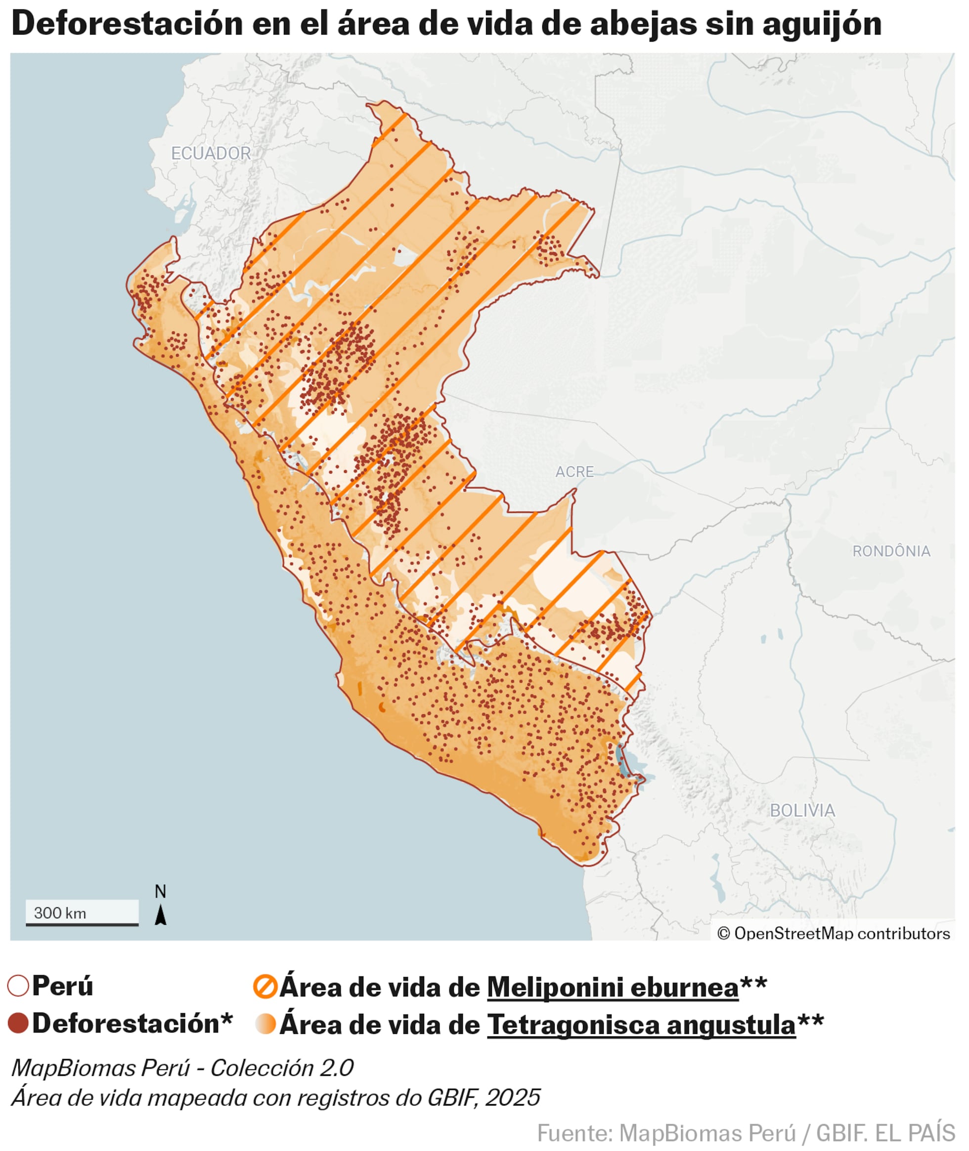Mapa de desaparecidos por municipio