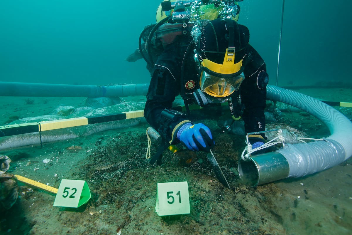 Esporas Cosa Nostra (@esporascosanostra) • Instagram photos and videos, image size:1200x800