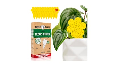 Trampa para moscas sobre fondo blanco.