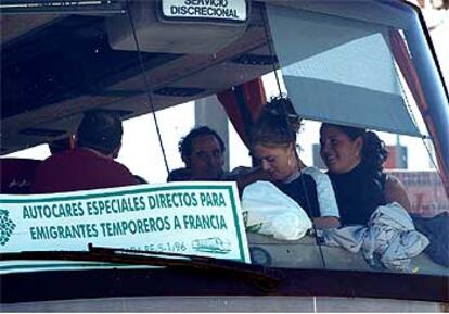 Vendimiadores, ayer en Bailén, en uno de los autobuses en los que partieron hacia Francia.