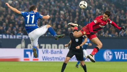 Chicharito (d) ante el Schalke, en la Bundesliga.