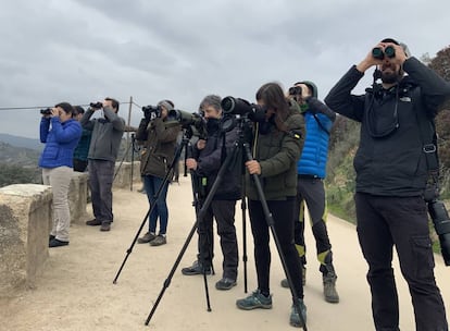 Un grupo, en un recorrido por la sierra de Andújar.