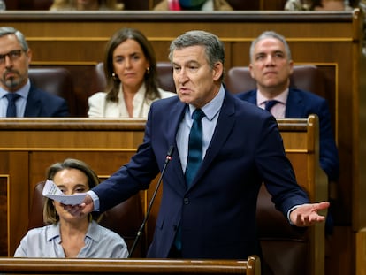 El líder del PP, Alberto Núñez Feijóo, este miércoles en la última sesión de control del año en el Congreso.