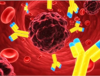 Recreación de la inflamación propia de la esclerosis múltiple