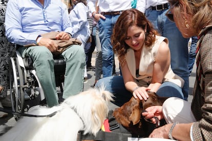 La presidenta de la Comunidad de Madrid y candidata a la reelección, Isabel Díaz Ayuso, en un acto de precampaña en Valladolid, el pasado 6 de mayo.