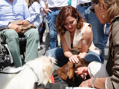 La presidenta de la Comunidad de Madrid y candidata a la reelección, Isabel Díaz Ayuso, en un acto de precampaña en Valladolid, el pasado 6 de mayo.