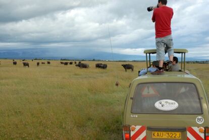 Un safari ante una manada de búfalos en la reserva de Sweetwaters, situada entre el monte Kenia y el lago Nakuru.