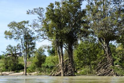 Stung Treng, polvorienta ciudad a orillas del río Tonlé San, tiene como ventaja su cercanía a la frontera con Laos, que permite hacer travesías en kayak para ver delfines de Irawadi y, después, recorrer un maravilloso tramo del Mekong conocido como el Bosque Anegado.