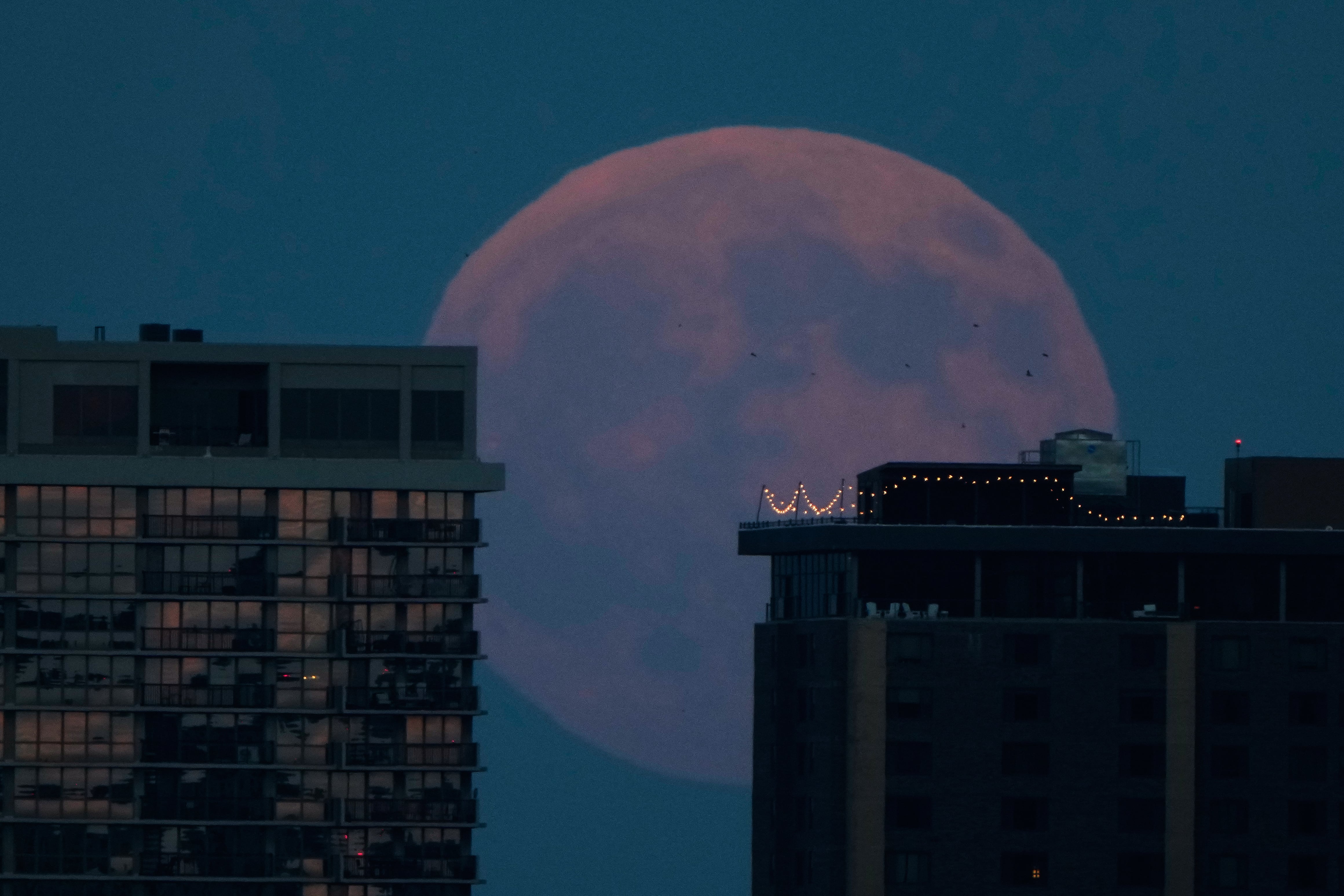 El eclipse parcial de Luna, en imágenes