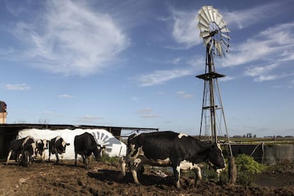 La producción lechera argentina lleva años en crisis.
