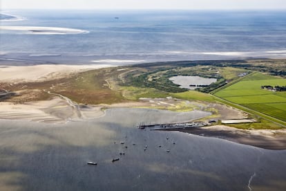 <a href=" https://www.vvvschiermonnikoog.nl /" target="_blank"> Schiermonnikoog </a> es un refugio tanto para quien necesita desconectar como para las más de 300 especies de aves limícolas que acuden cada año hasta sus marismas para reproducirse. En algunos tramos de la costa también se pueden ver focas.