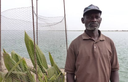 El profesor Cheikh Sarr frente junto a uno de los árboles que cuida en el muelle Quai Rome, en Saint Louis.