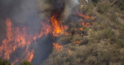 Incendio en los montes de Málaga.